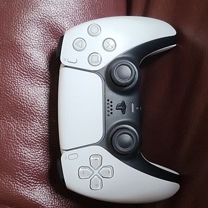 PS5 Controller